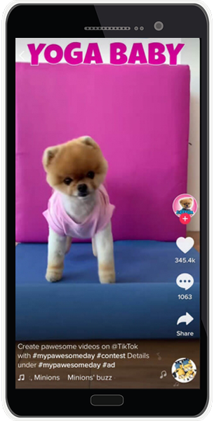 Tiktok Promotion